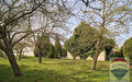 Obstgarten