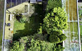 Garten Luftbild