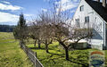 Obstgarten