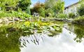 Gartenteich