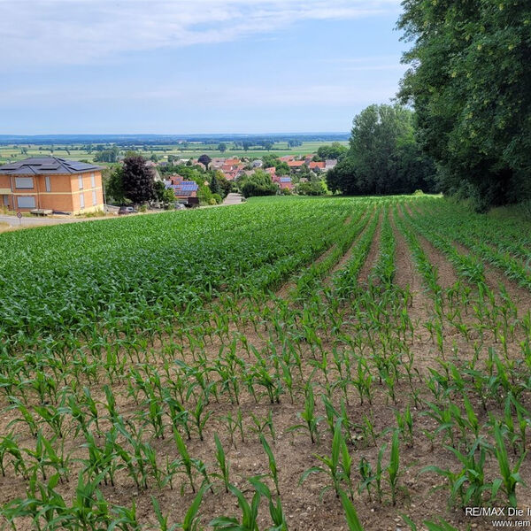 Großzügig bebaubares Grundstück mit Panoramablick