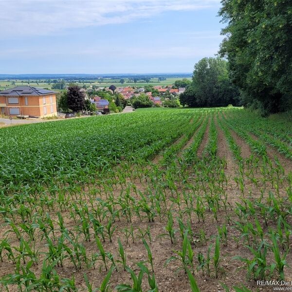Großzügig bebaubares Grundstück mit Panoramablick